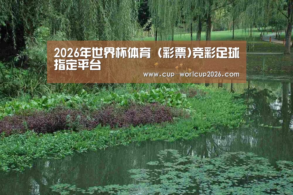 案例展示一(图1)