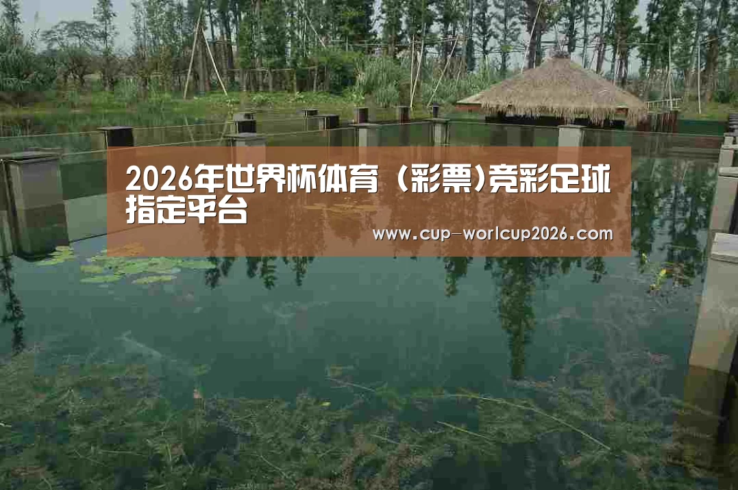 案例展示二(图1)