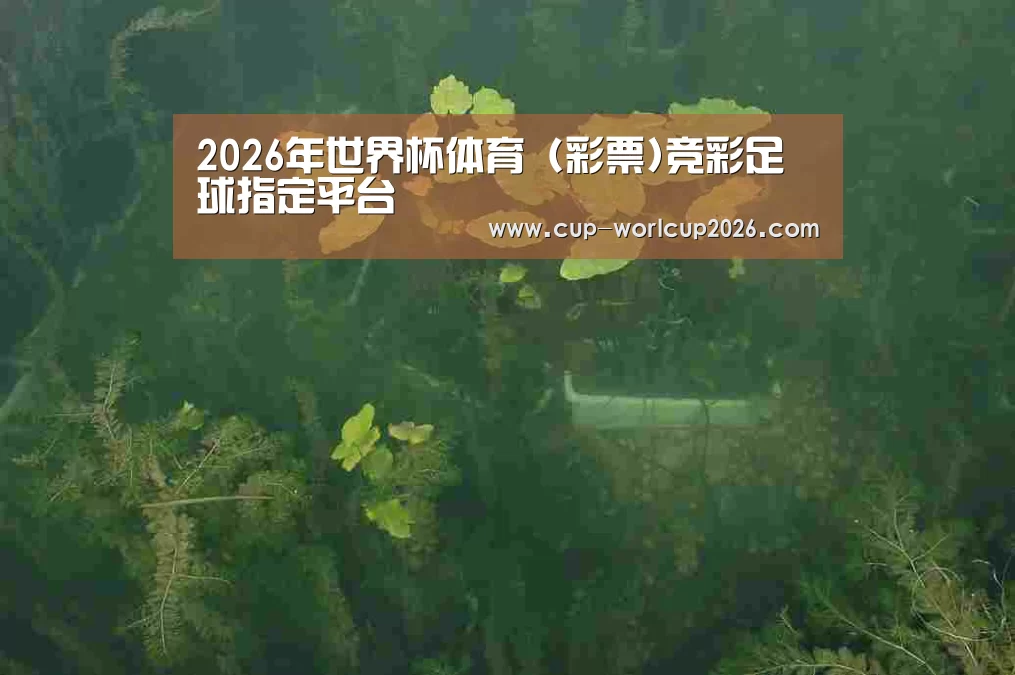 案例展示三(图1)