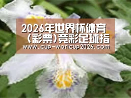 产品名称二