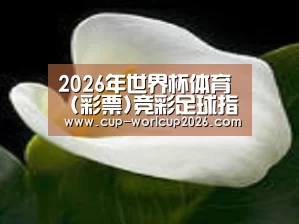 产品名称七