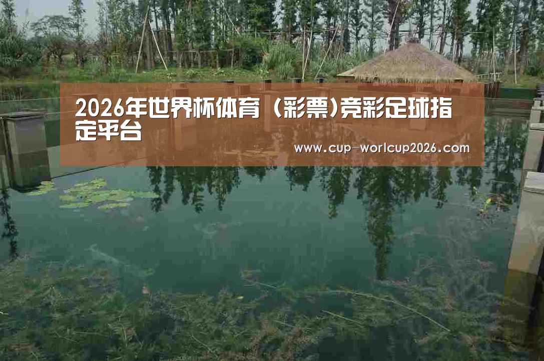案例展示二