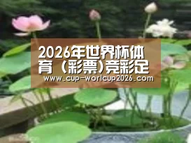 产品名称一
