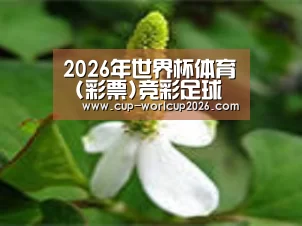 产品名称三