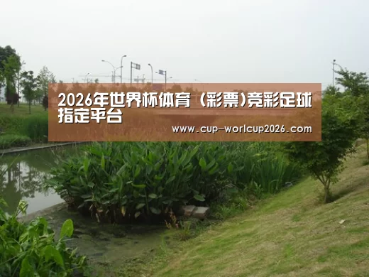 案例展示四