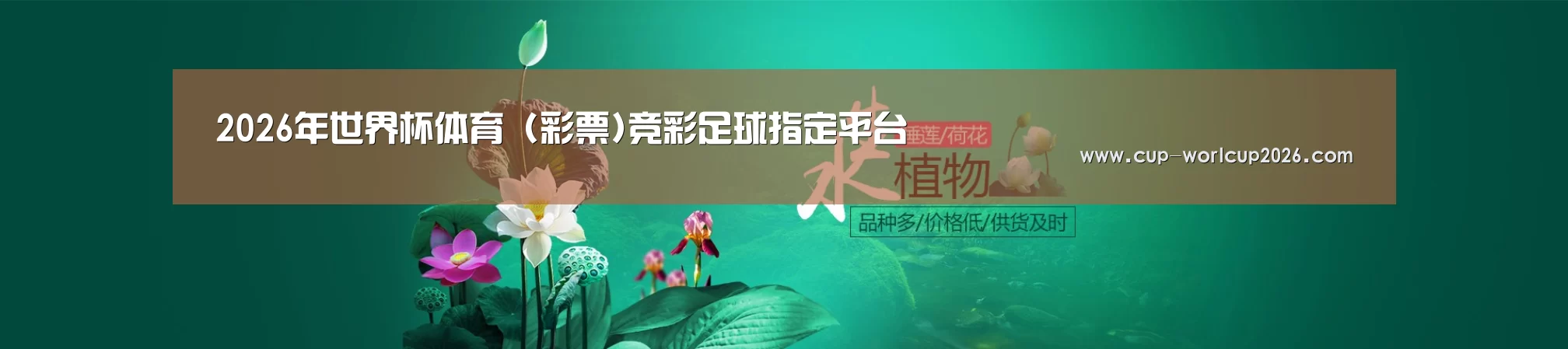 鲜花水草花卉网站模板